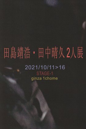 “tazima-tanaka2021”